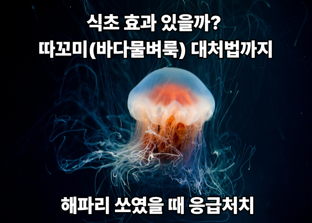바다속의 해파리